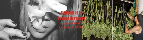 ECSTASY Зеленодольск