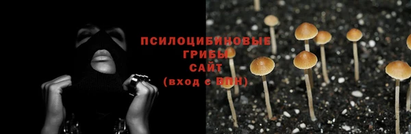 ECSTASY Зеленодольск