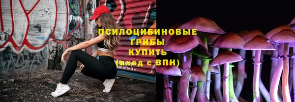 ECSTASY Зеленодольск