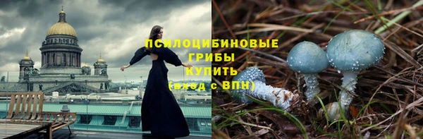 Альфа ПВП Зеленокумск