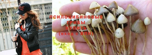 ECSTASY Зеленодольск