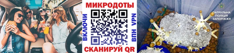 Псилоцибиновые грибы GOLDEN TEACHER  Новочебоксарск 